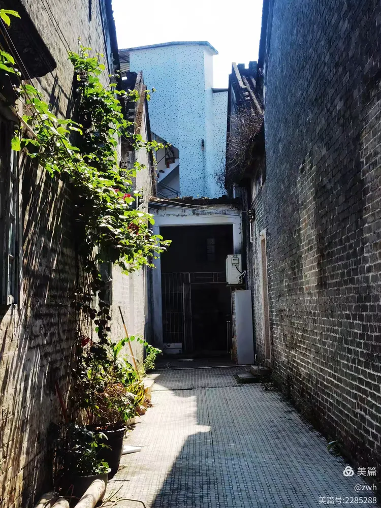 珠海古村记——南屏村